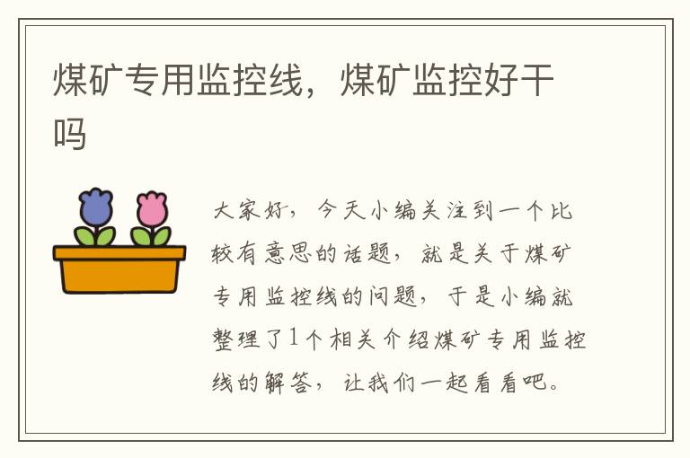 煤矿专用监控线,煤矿监控好干吗