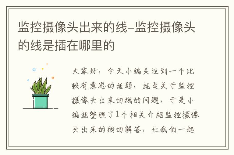 监控摄像头出来的线-监控摄像头的线是插在哪里的