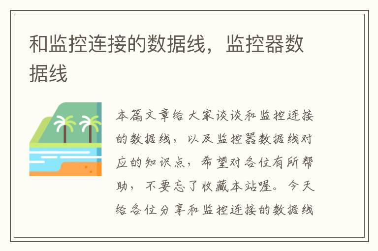 和监控连接的数据线,监控器数据线