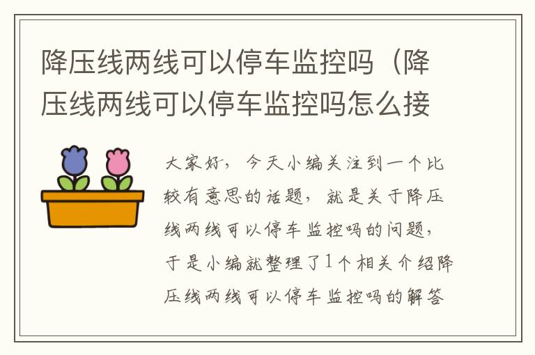 降压线两线可以停车监控吗(降压线两线可以停车监控吗怎么接线)