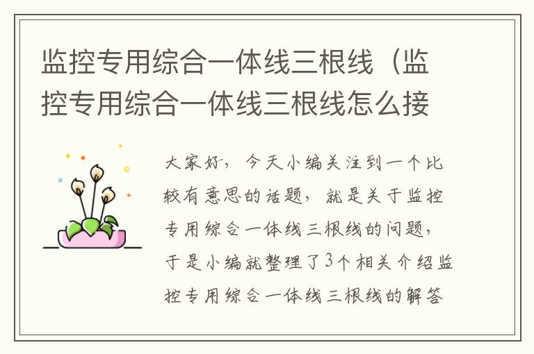 监控专用综合一体线三根线(监控专用综合一体线三根线怎么接线)