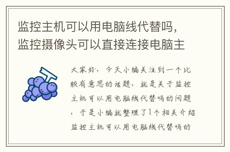 监控主机可以用电脑线代替吗,监控摄像头可以直接连接电脑主机吗