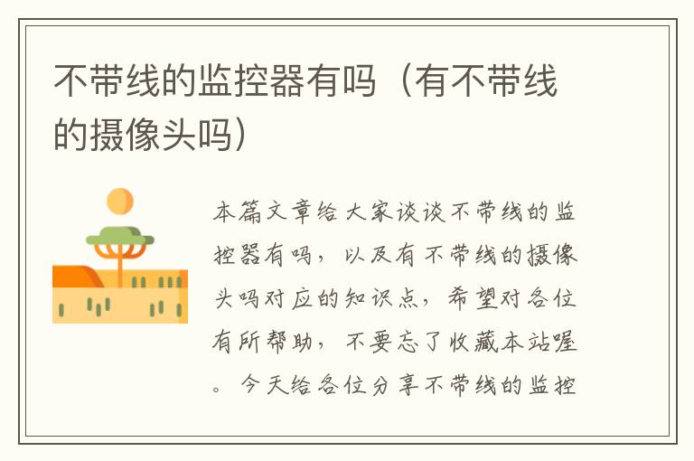 不带线的监控器有吗(有不带线的摄像头吗)