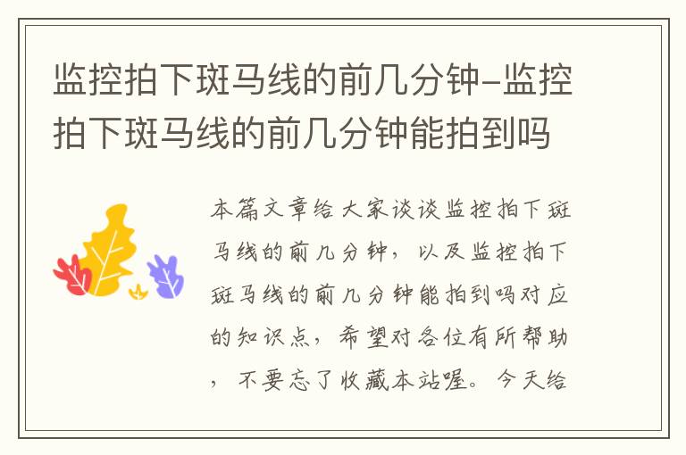 监控拍下斑马线的前几分钟-监控拍下斑马线的前几分钟能拍到吗