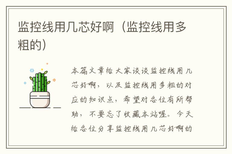 监控线用几芯好啊(监控线用多粗的)