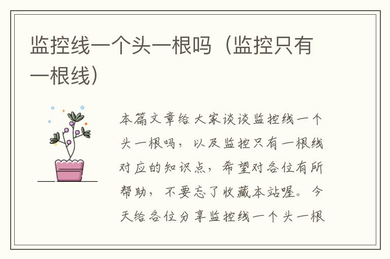 监控线一个头一根吗(监控只有一根线)