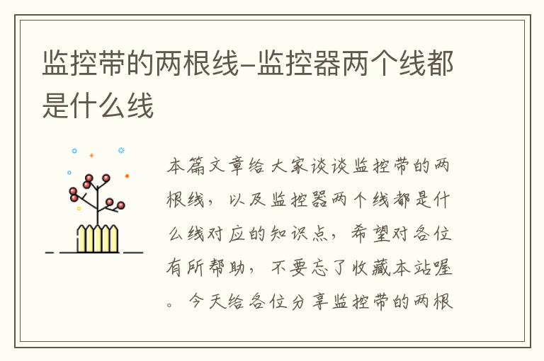 监控带的两根线-监控器两个线都是什么线
