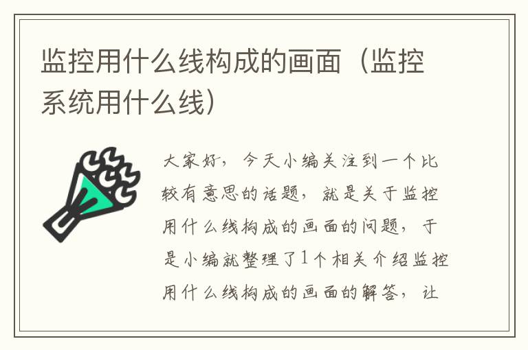 监控用什么线构成的画面(监控系统用什么线)