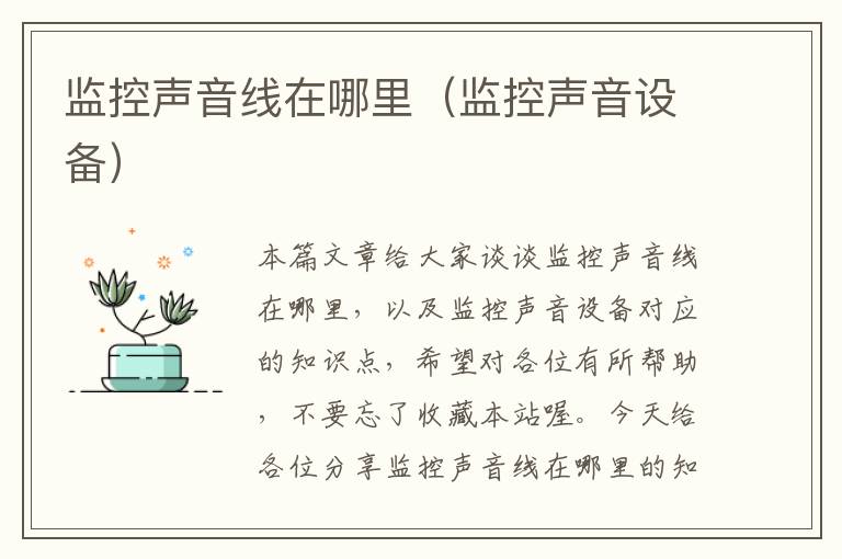 监控声音线在哪里(监控声音设备)