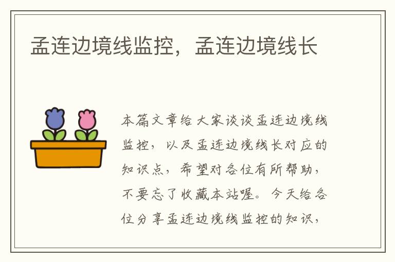 孟连边境线监控,孟连边境线长