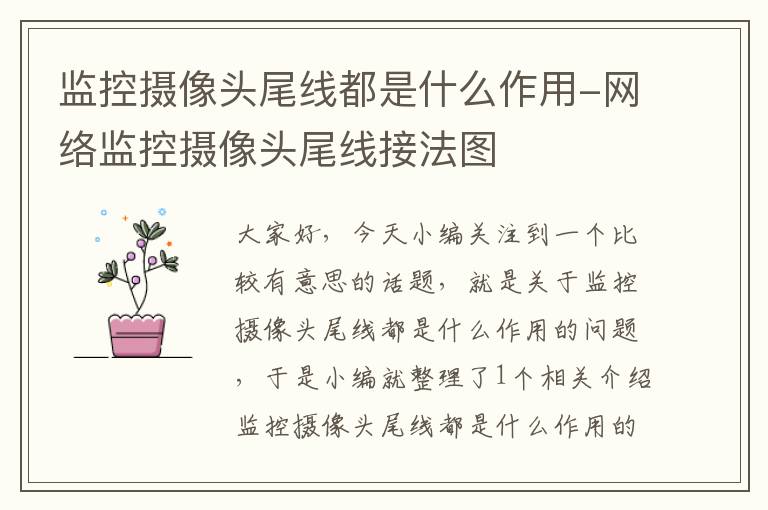 监控摄像头尾线都是什么作用-网络监控摄像头尾线接法图