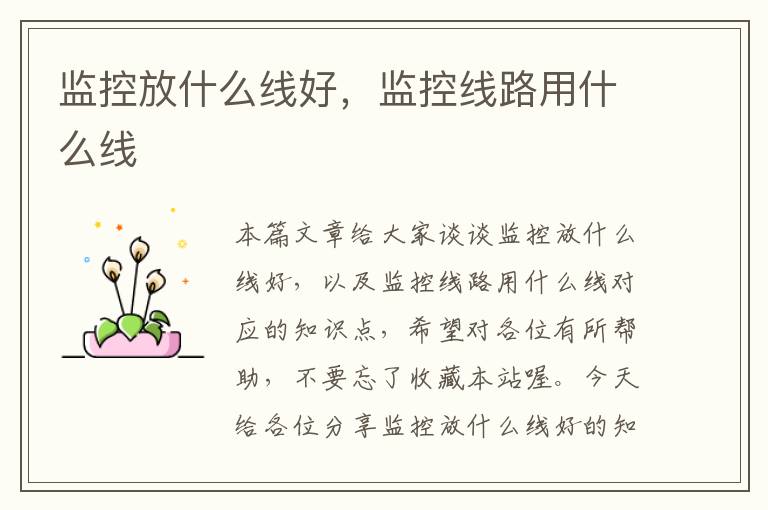 监控放什么线好,监控线路用什么线