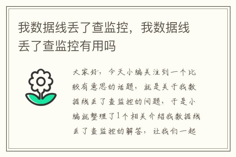 我数据线丢了查监控,我数据线丢了查监控有用吗