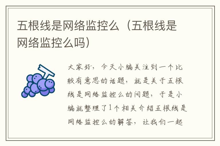 五根线是网络监控么(五根线是网络监控么吗)