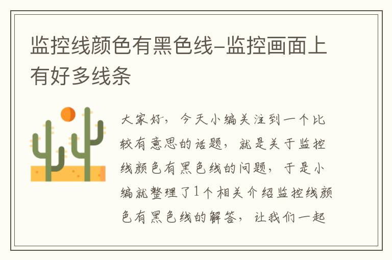 监控线颜色有黑色线-监控画面上有好多线条