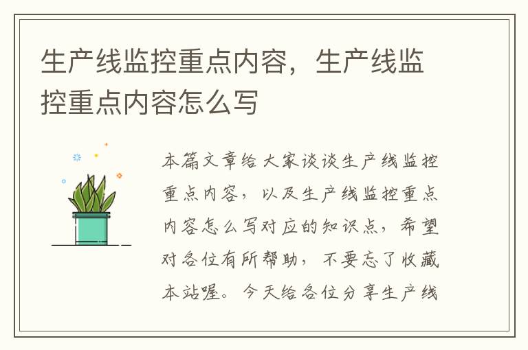 生产线监控重点内容,生产线监控重点内容怎么写