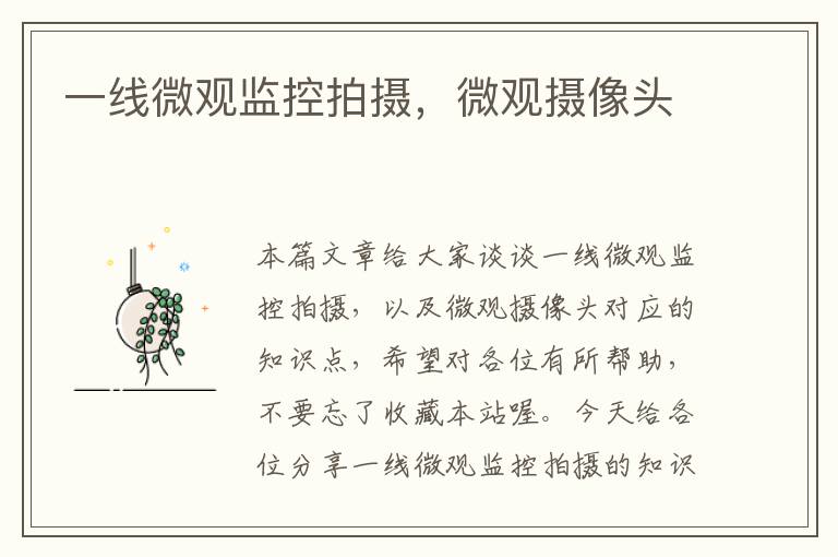 一线微观监控拍摄,微观摄像头