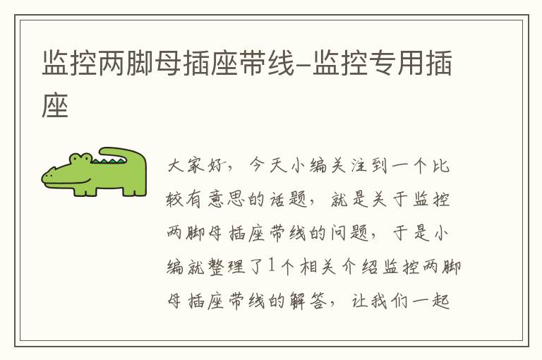监控两脚母插座带线-监控专用插座