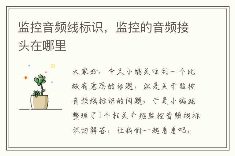 监控音频线标识,监控的音频接头在哪里