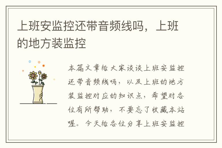 上班安监控还带音频线吗,上班的地方装监控