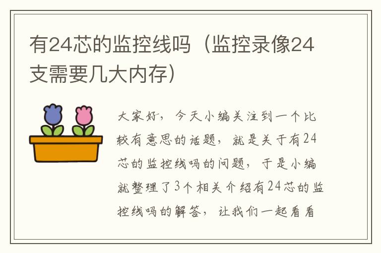 有24芯的监控线吗(监控录像24支需要几大内存)
