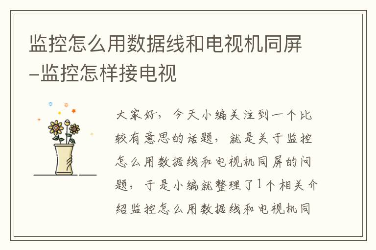 监控怎么用数据线和电视机同屏-监控怎样接电视