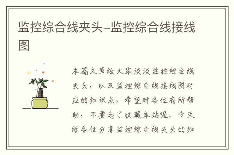 监控综合线夹头-监控综合线接线图