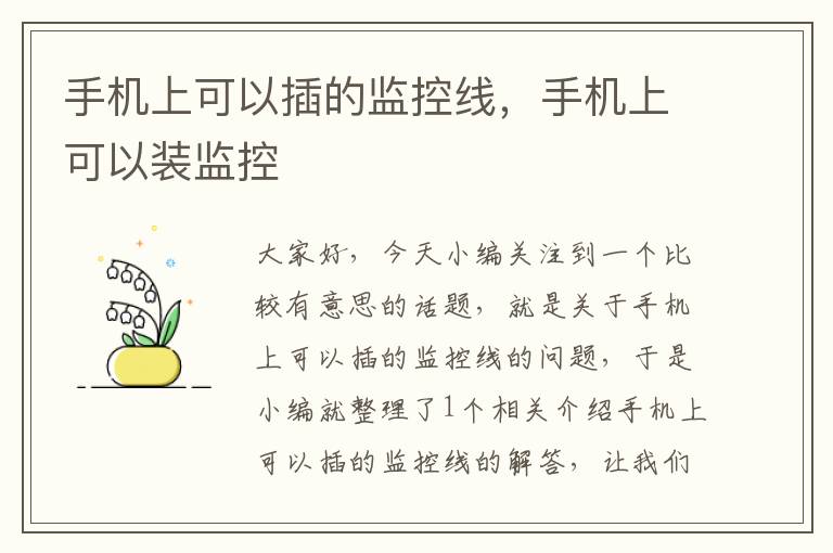 手机上可以插的监控线,手机上可以装监控