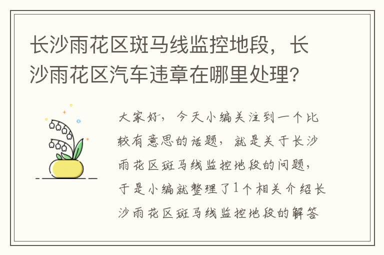 长沙雨花区斑马线监控地段,长沙雨花区汽车违章在哪里处理?