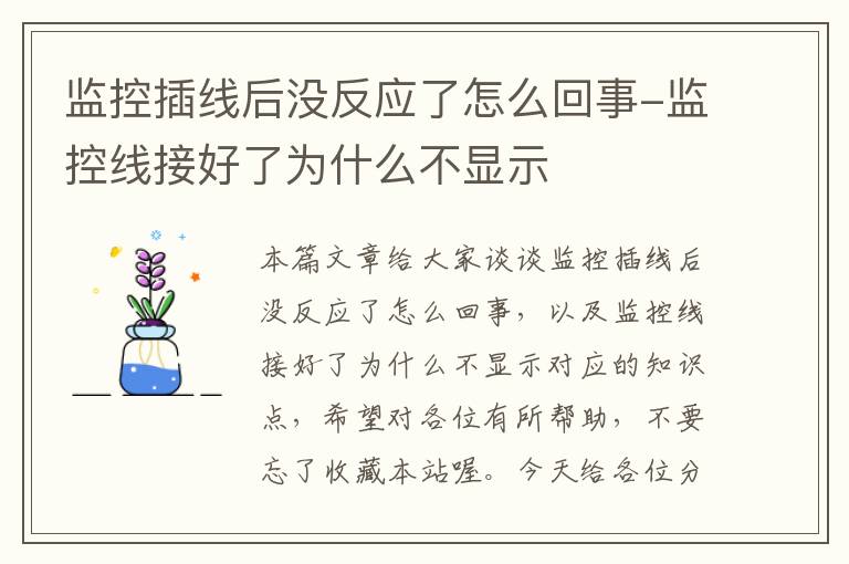 监控插线后没反应了怎么回事-监控线接好了为什么不显示