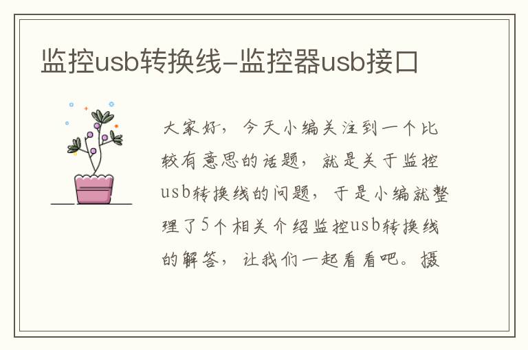 监控usb转换线-监控器usb接口