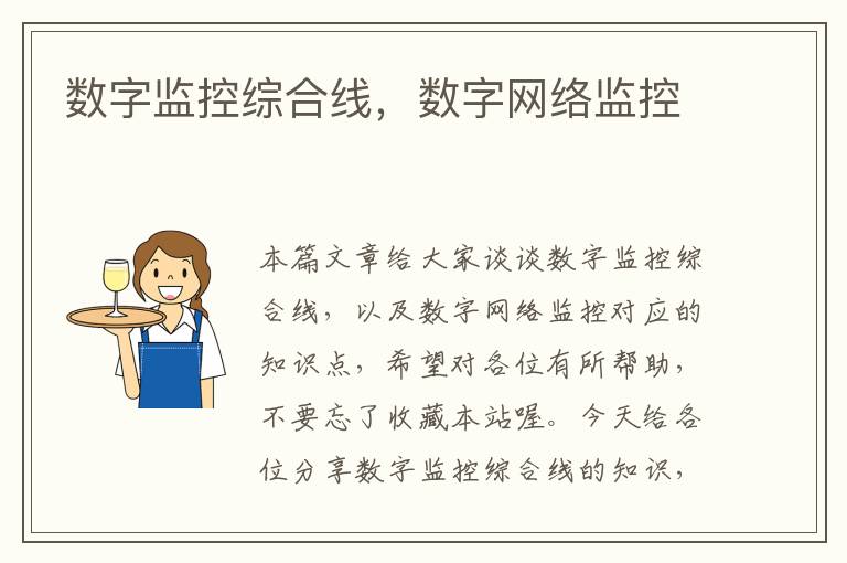 数字监控综合线,数字网络监控