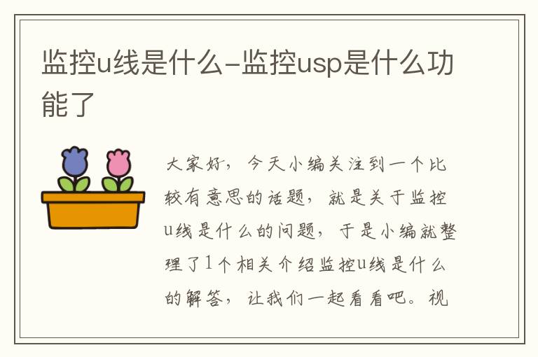 监控u线是什么-监控usp是什么功能了