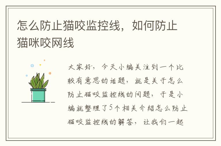 怎么防止猫咬监控线,如何防止猫咪咬网线