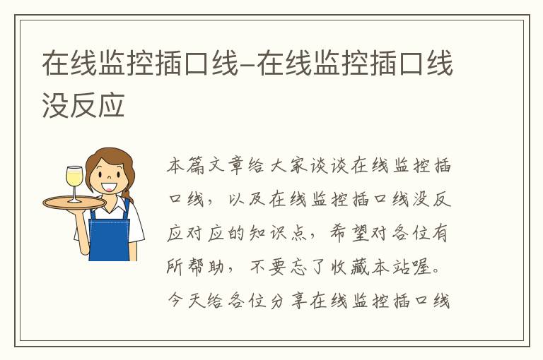 在线监控插口线-在线监控插口线没反应