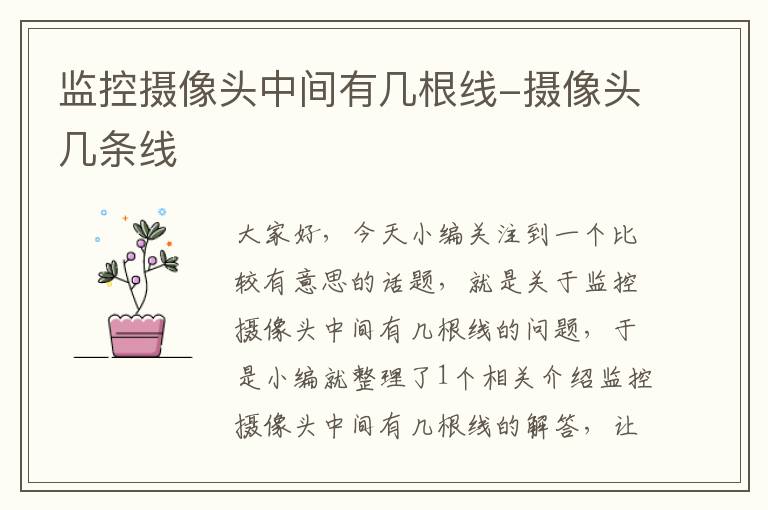 监控摄像头中间有几根线-摄像头几条线