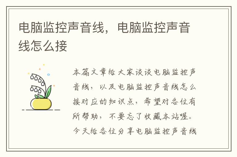 电脑监控声音线,电脑监控声音线怎么接