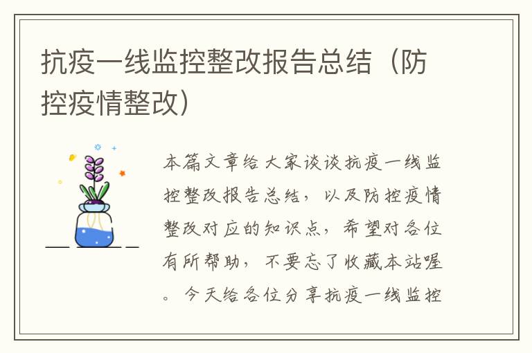 抗疫一线监控整改报告总结(防控疫情整改)