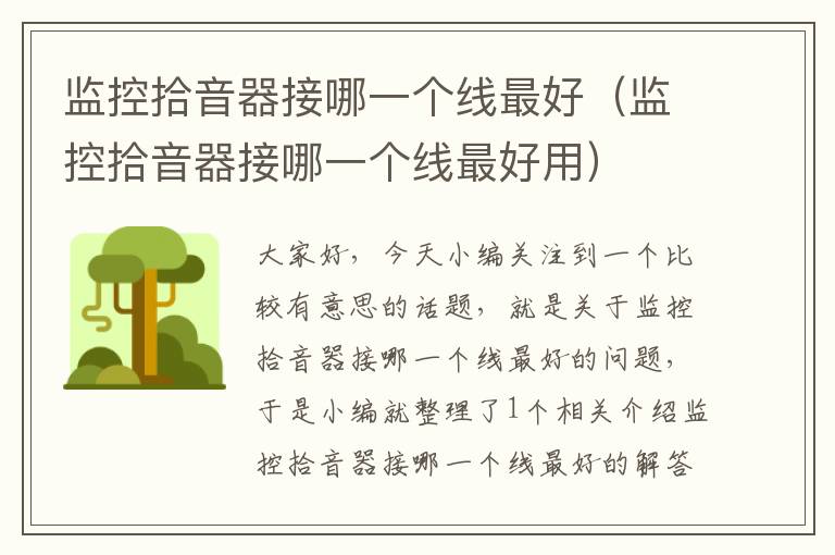 监控拾音器接哪一个线最好(监控拾音器接哪一个线最好用)