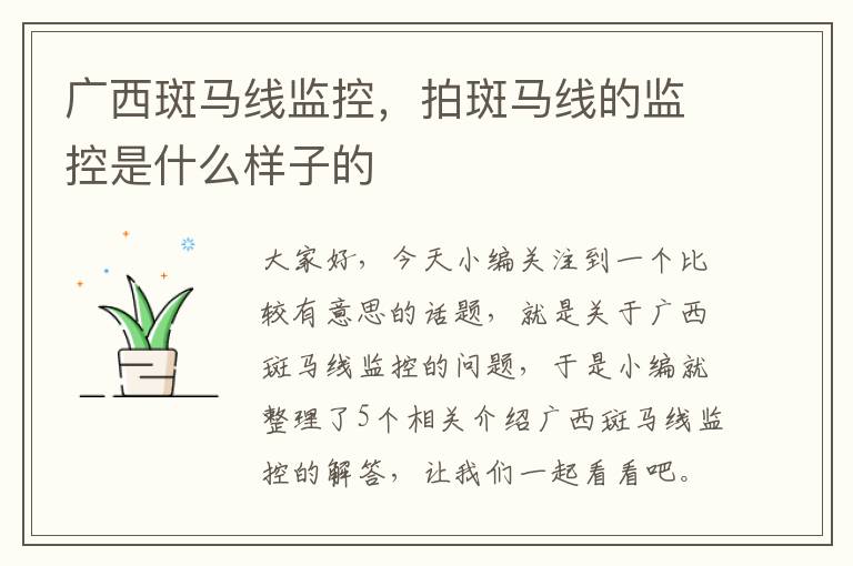 广西斑马线监控,拍斑马线的监控是什么样子的