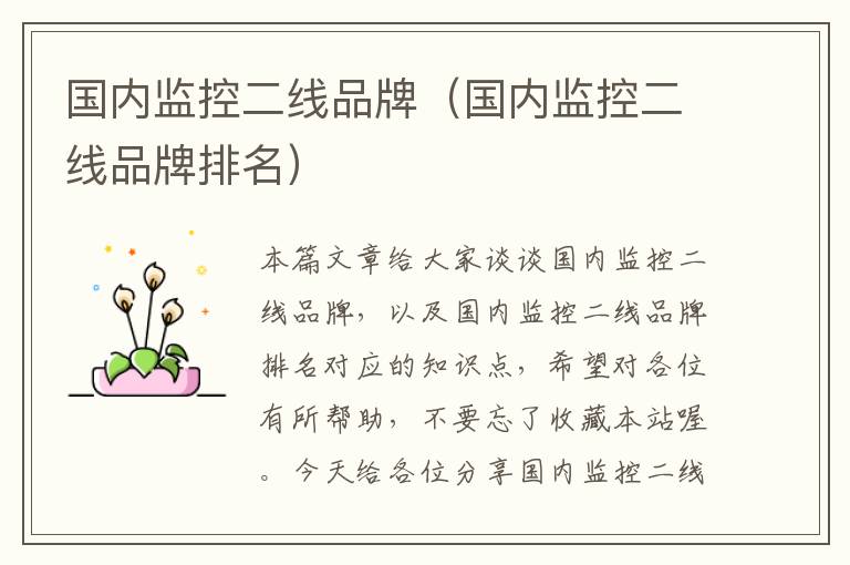 国内监控二线品牌(国内监控二线品牌排名)