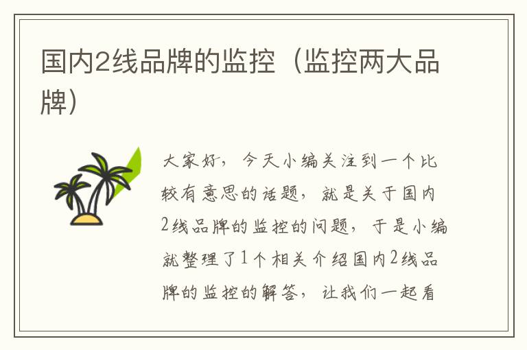 国内2线品牌的监控(监控两大品牌)
