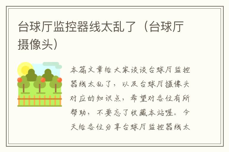 台球厅监控器线太乱了(台球厅摄像头)