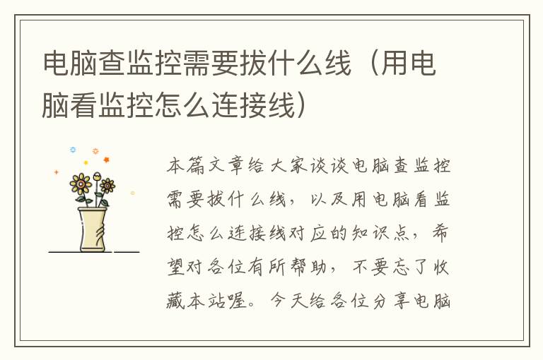 电脑查监控需要拔什么线(用电脑看监控怎么连接线)