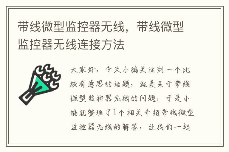 带线微型监控器无线,带线微型监控器无线连接方法