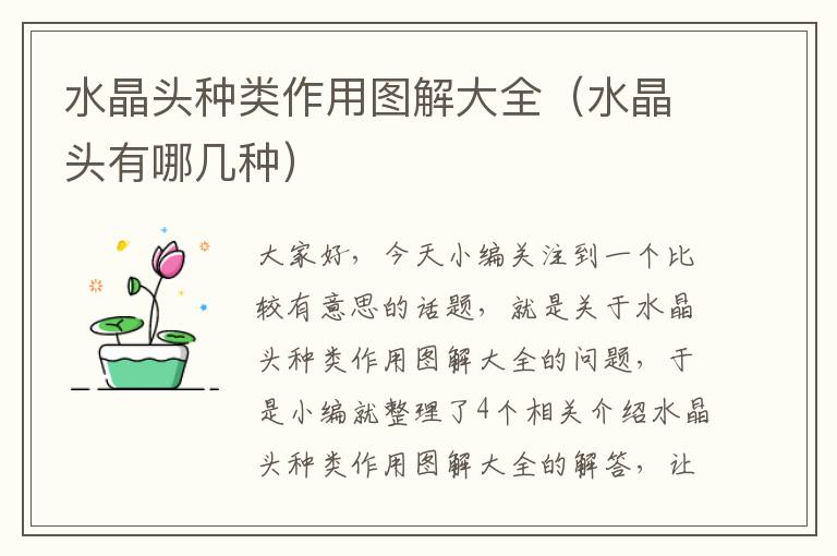 水晶头种类作用图解大全(水晶头有哪几种)