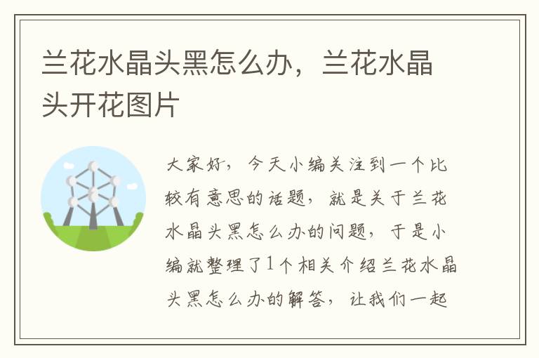 兰花水晶头黑怎么办,兰花水晶头开花图片