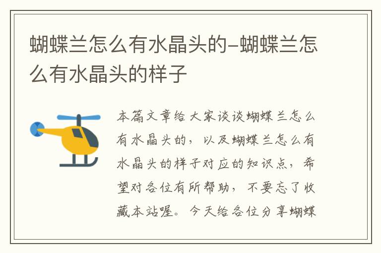 蝴蝶兰怎么有水晶头的-蝴蝶兰怎么有水晶头的样子