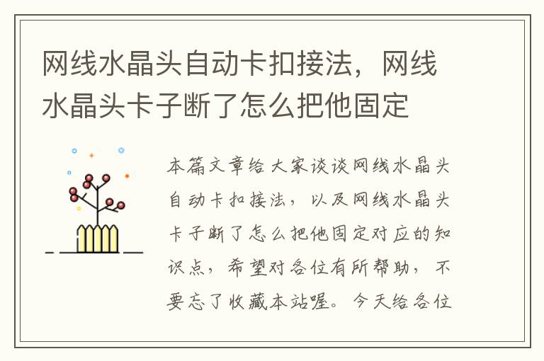 网线水晶头自动卡扣接法,网线水晶头卡子断了怎么把他固定