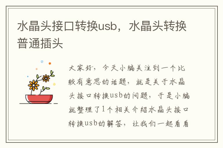 水晶头接口转换usb,水晶头转换普通插头